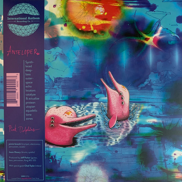 Pink Dolphins