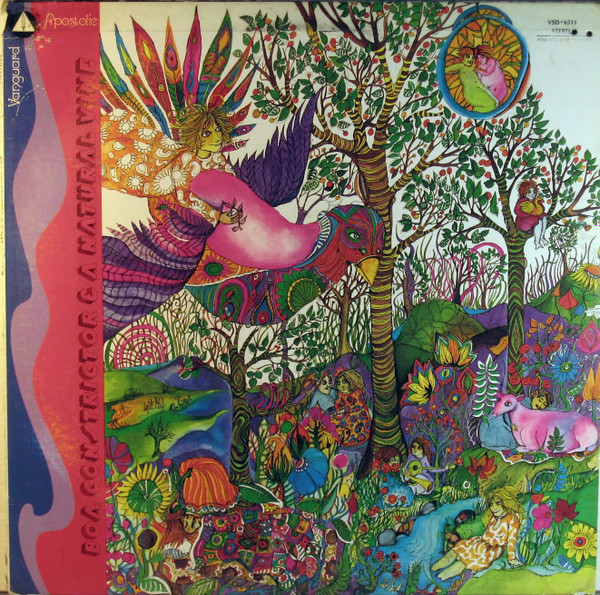 Boa Constrictor & A Natural Vine