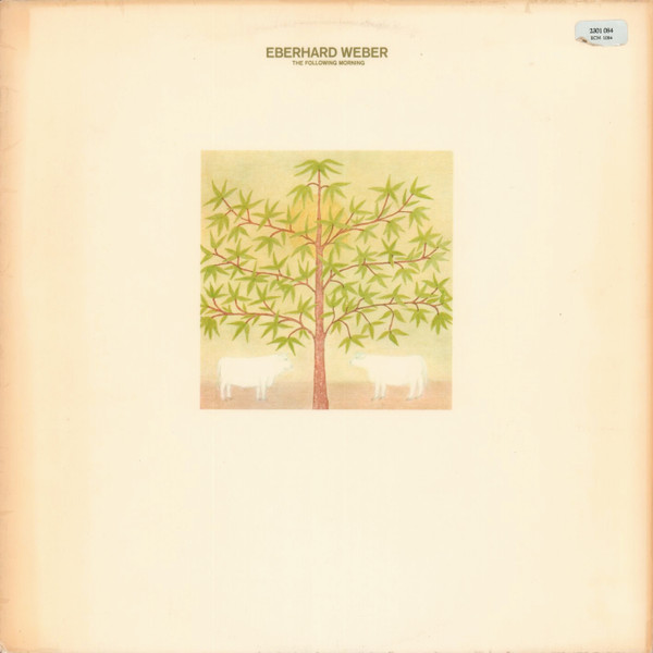 The Following Morning