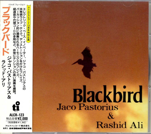 Blackbird