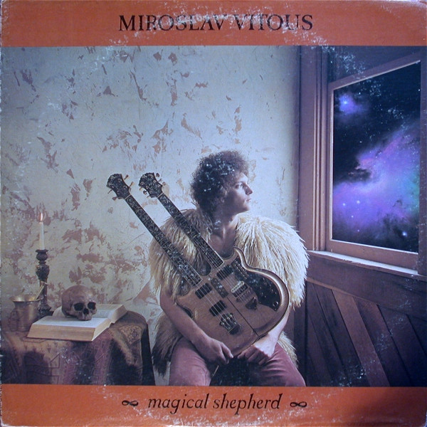 Magical Shepherd